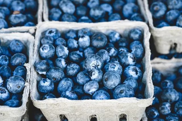 Best Grocery Deals for Black Friday Discounts